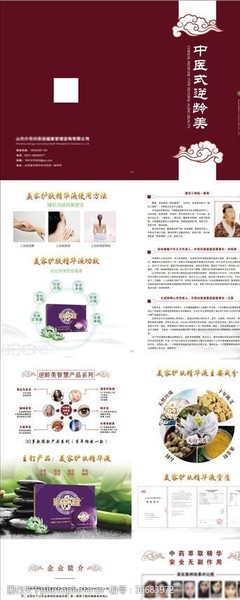 日用之美，生活之趣——探索日用品畫冊的圖片素材世界